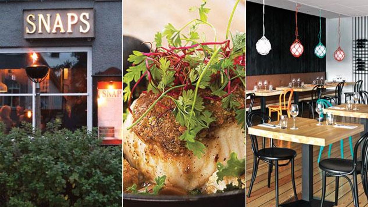 Four-fave-restaurants-reykjavik-rotator