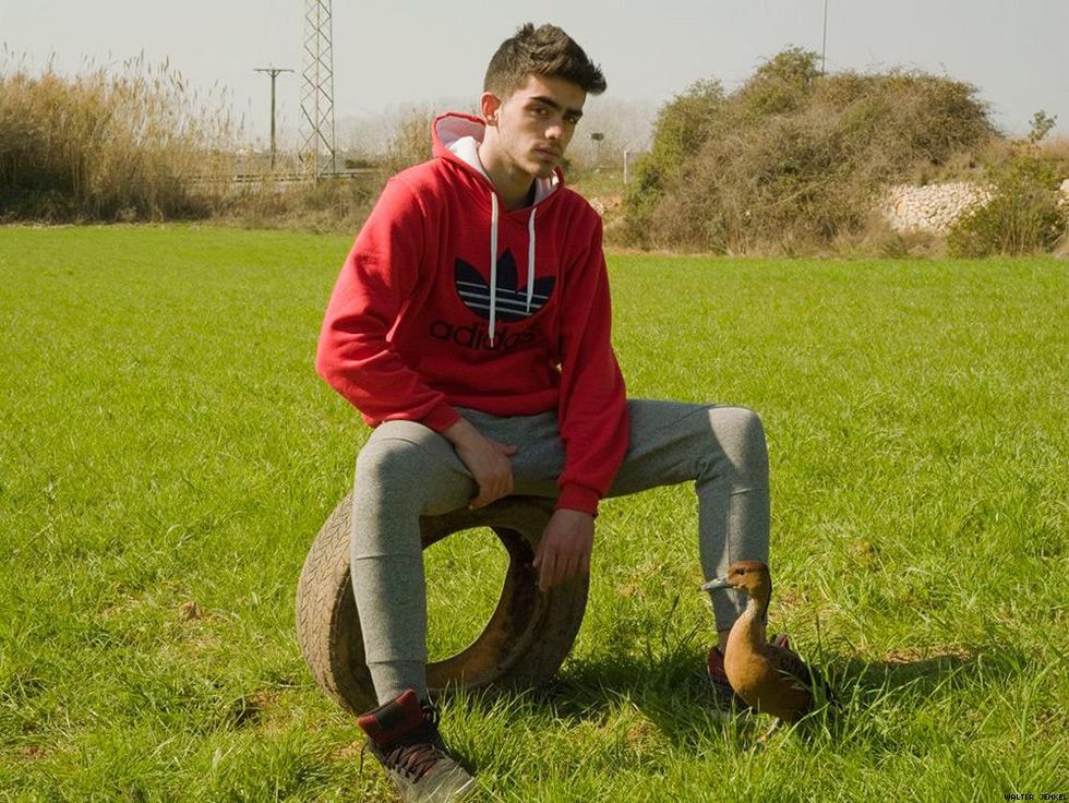 Fulvous whistling duck (Dendrocygna bicolor)