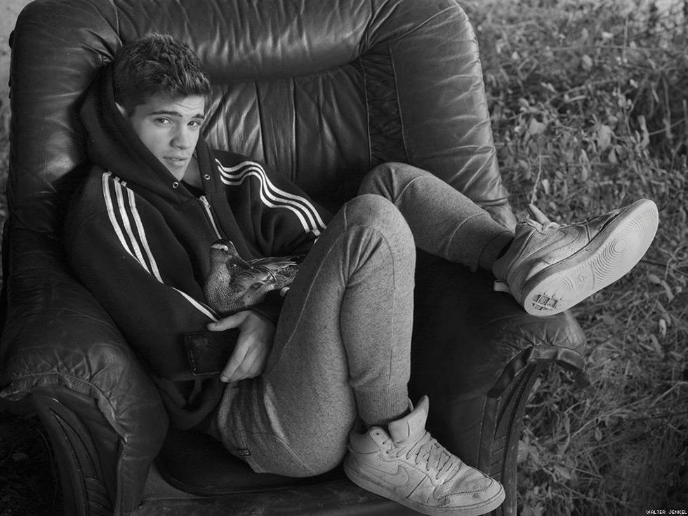 Garganey (Anas querquedula)