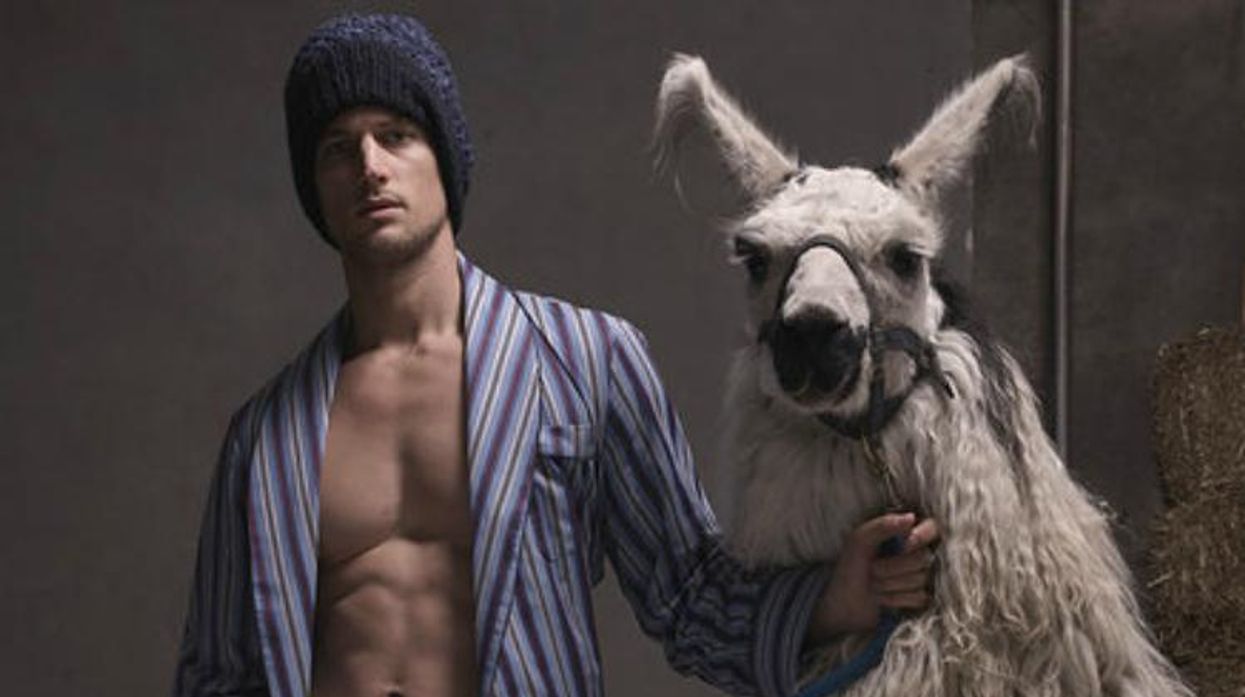 Garrett Neff Llama Vogue