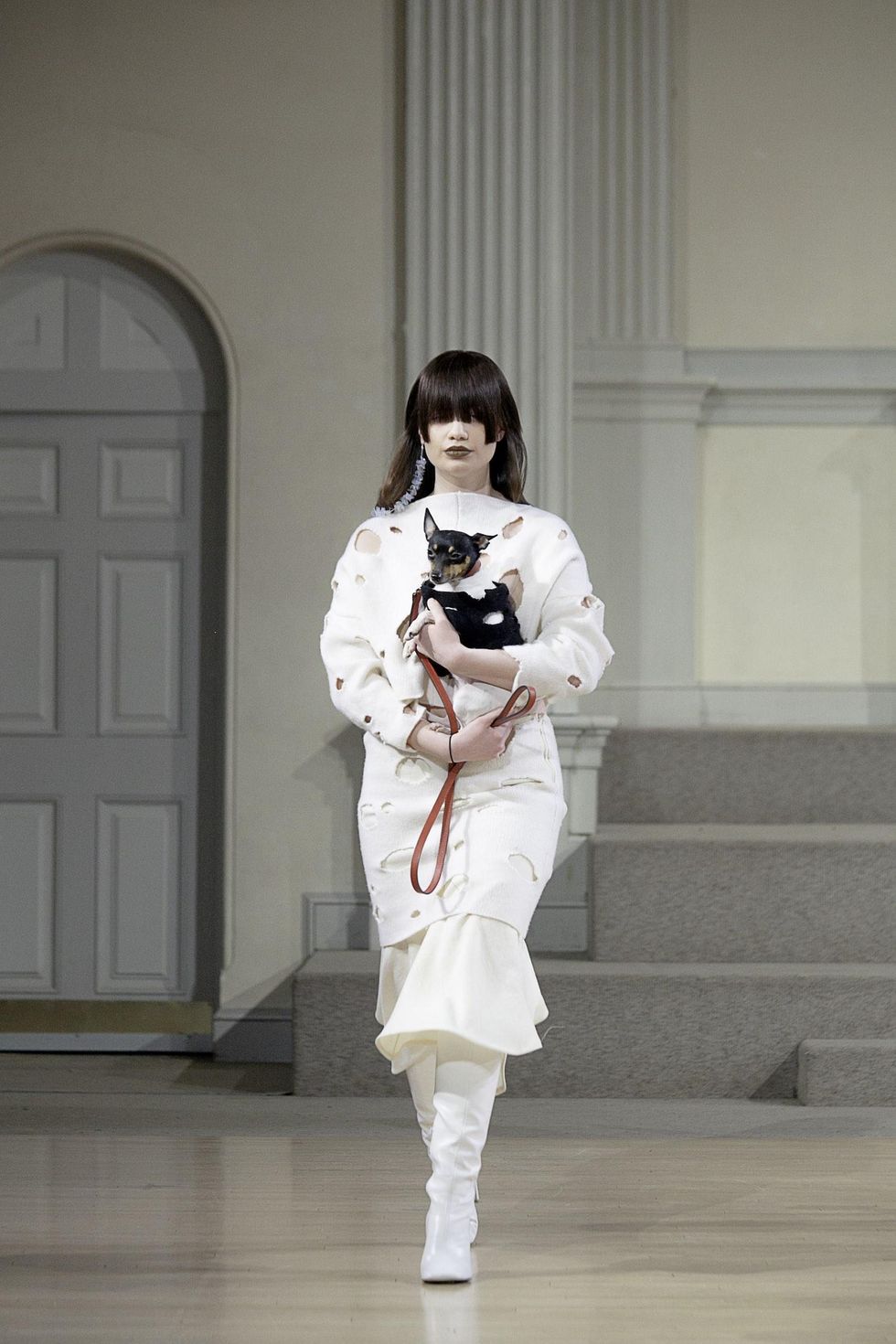 Gauntlett Cheng Let Their Catwalk Go To The Dogs