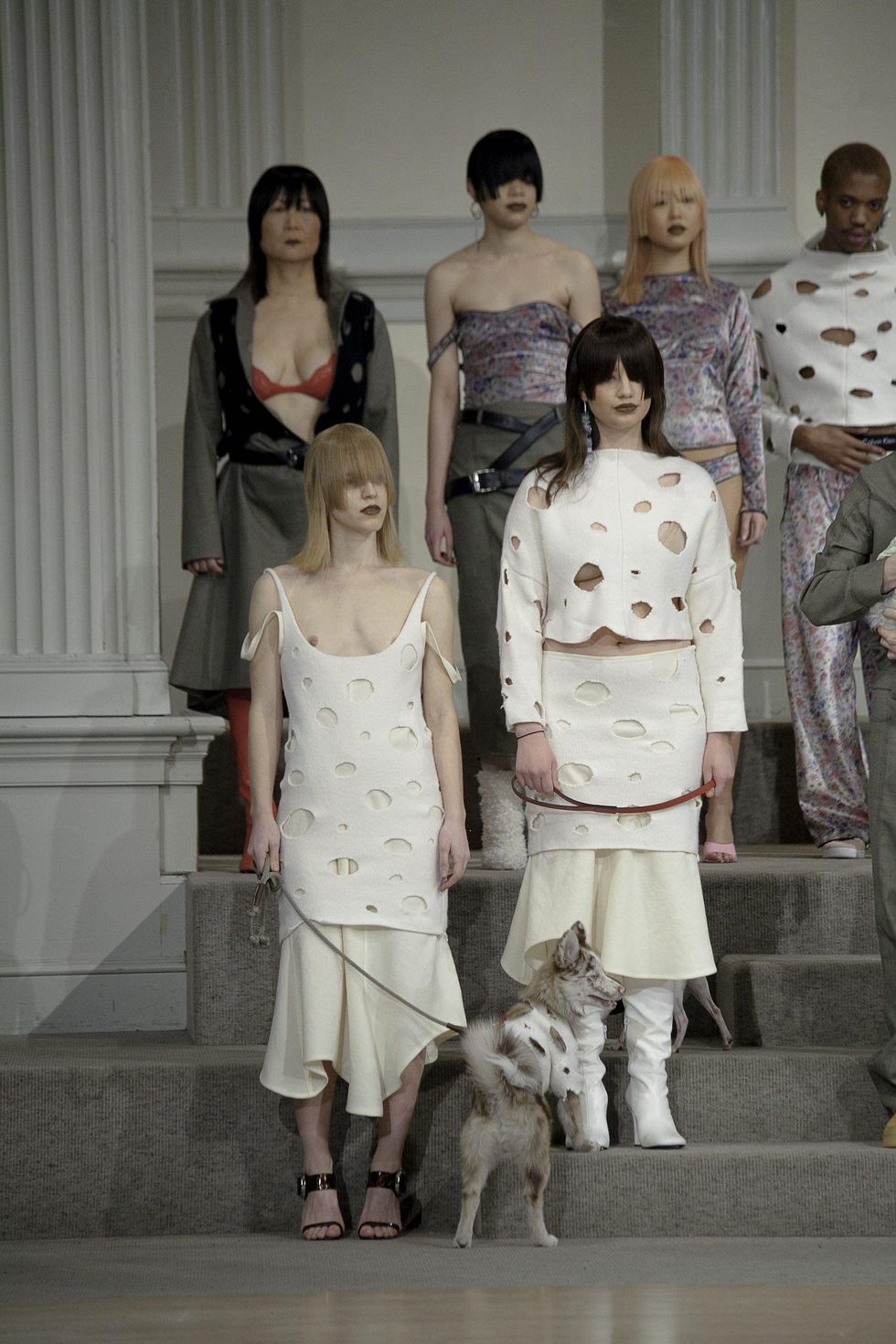 Gauntlett Cheng Let Their Catwalk Go To The Dogs