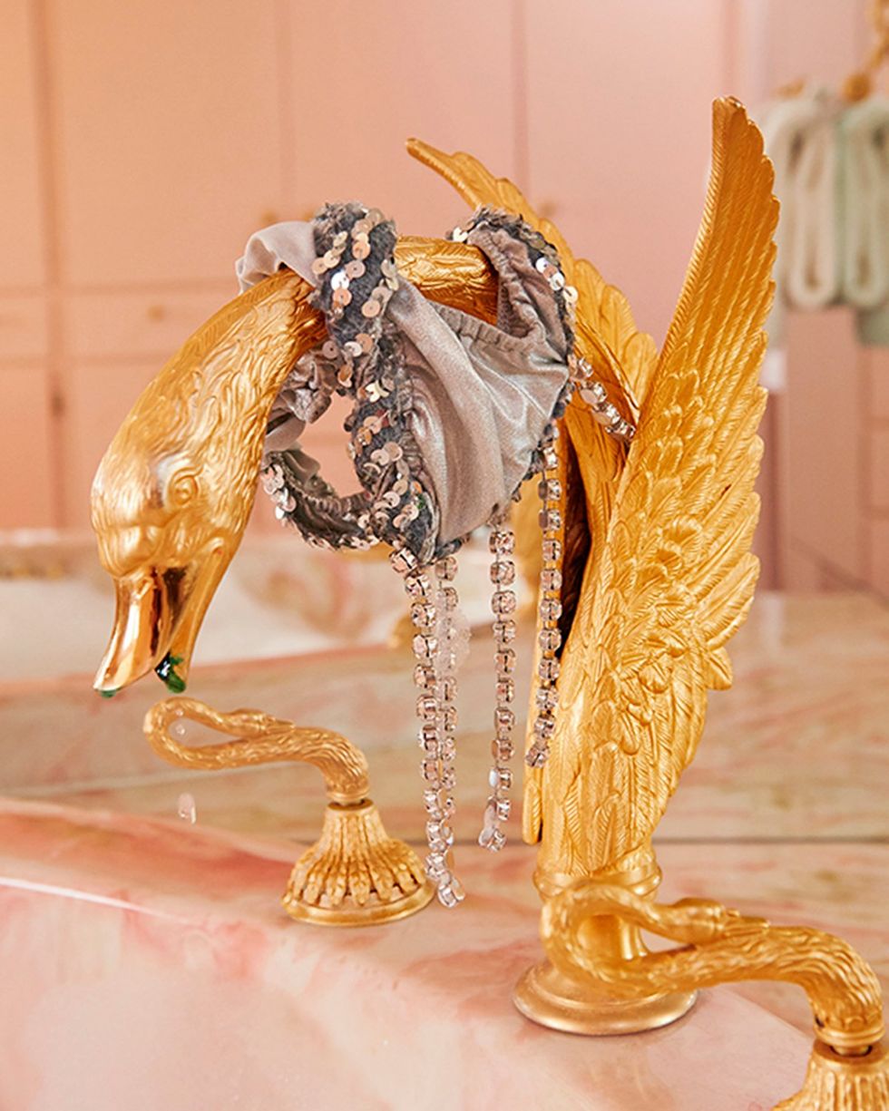 Golden Swan \u00a9 Jane Hilton