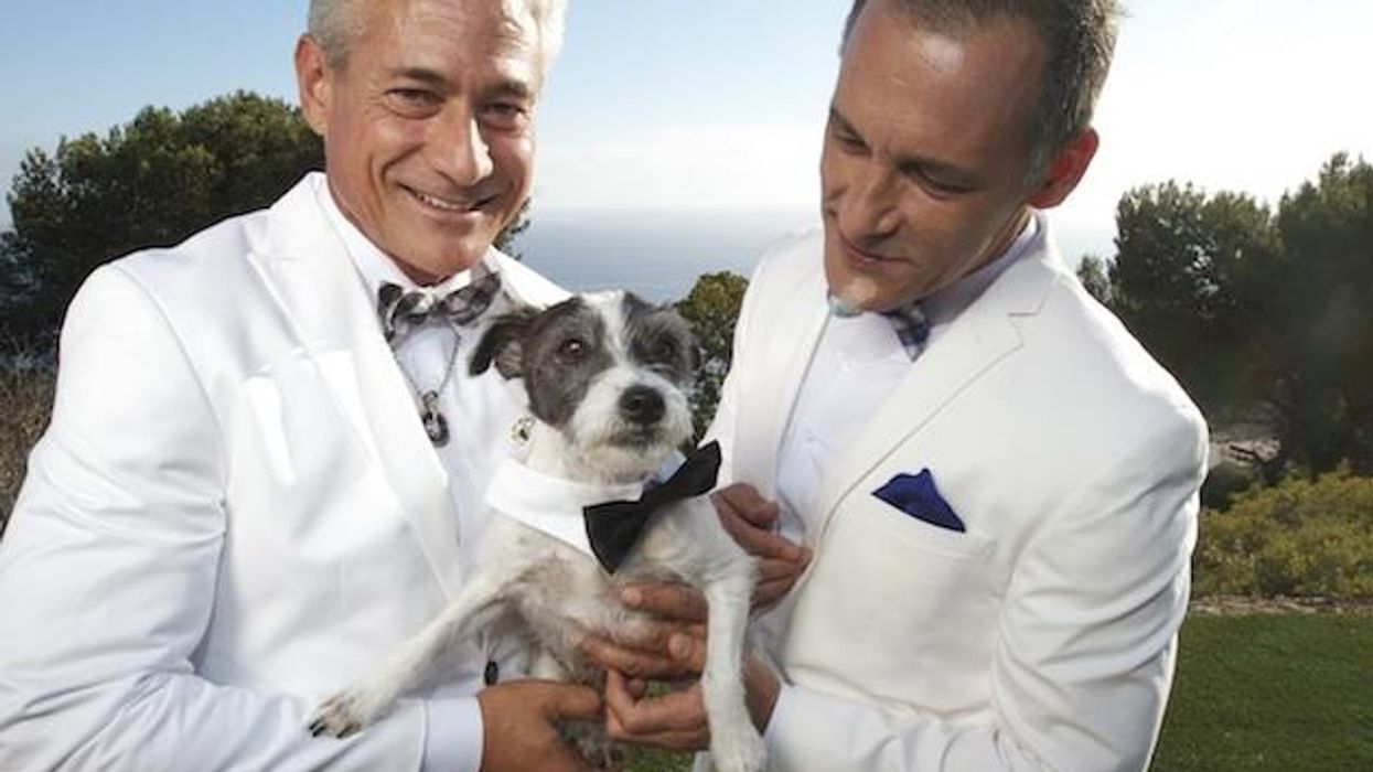 Greg-louganis-chaillot-dog-cr