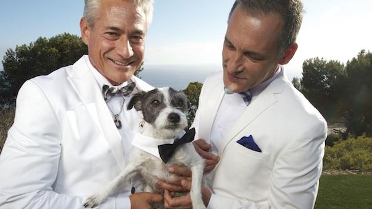 Greg-louganis-chaillot-dogx633