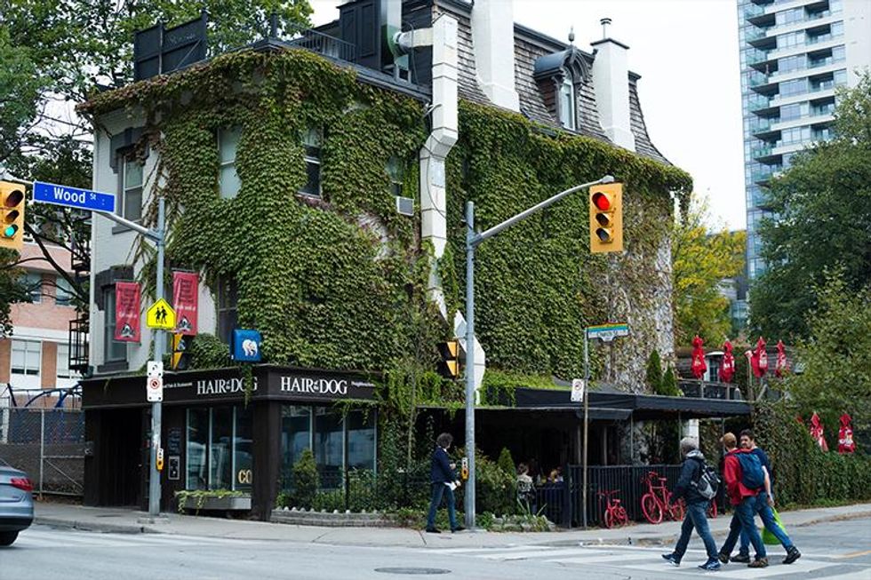 Hairofthedog_forupload