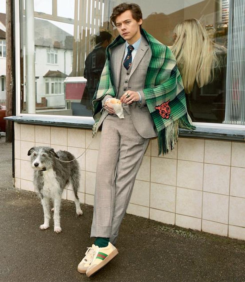 Harry Styles Stars in the New Gucci Tailoring Campaign