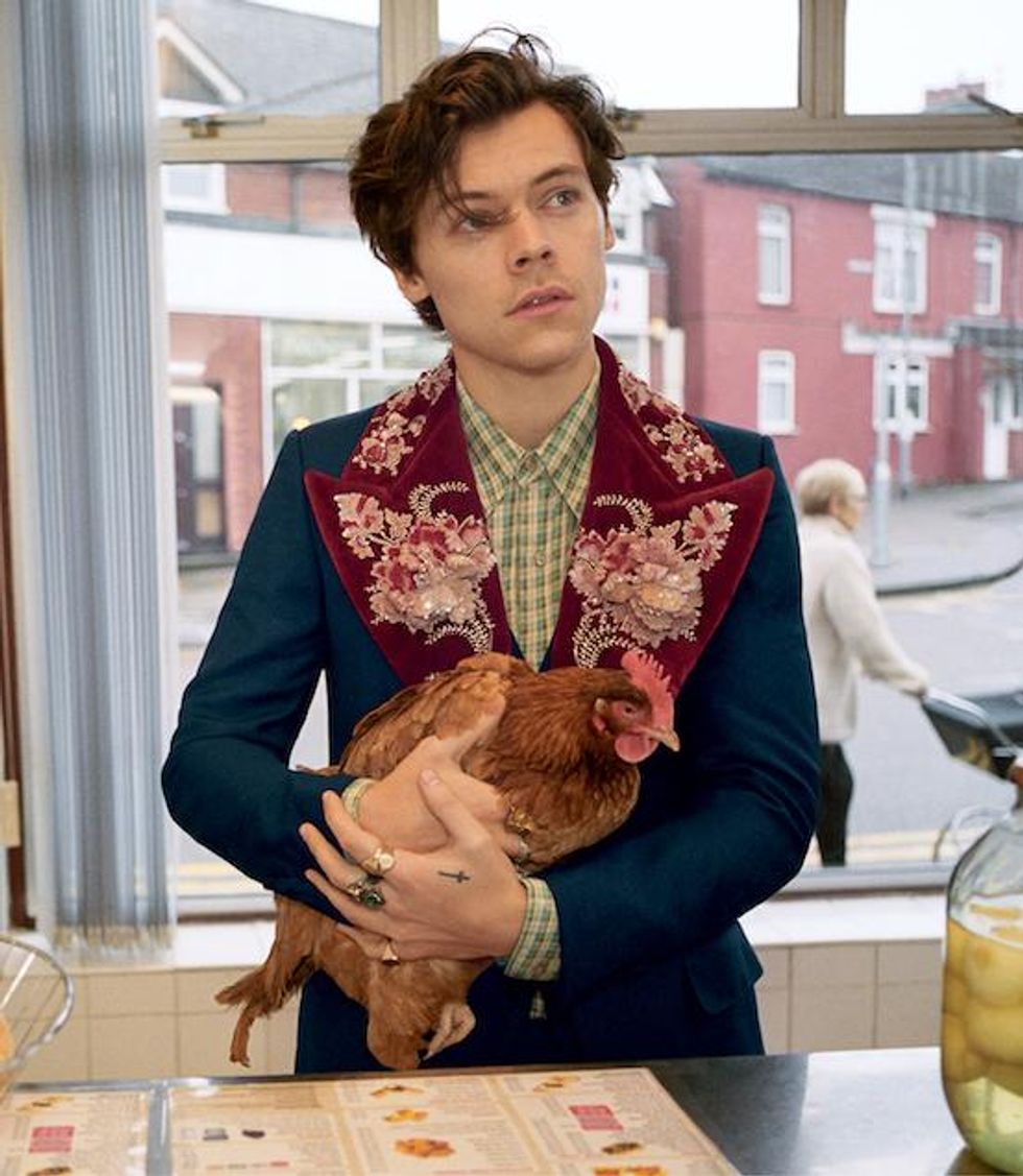 Harry Styles Stars in the New Gucci Tailoring Campaign