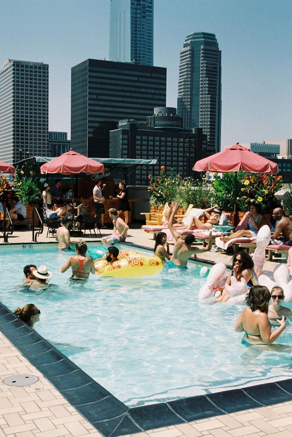 'Hello Mr.'/'Dyke Queen' Rooftop Pool Party