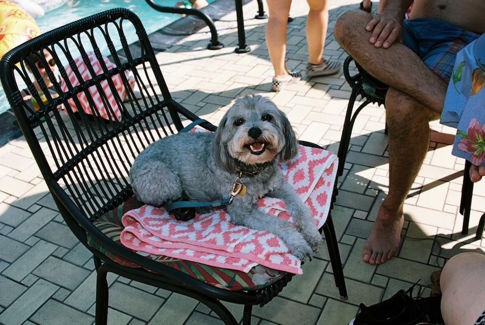 'Hello Mr.'/'Dyke Queen' Rooftop Pool Party