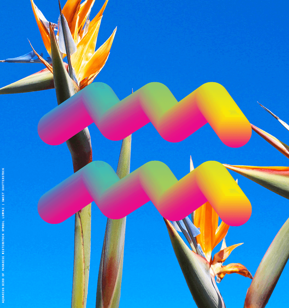 Here's our Out Magazine horoscope for Aquarius