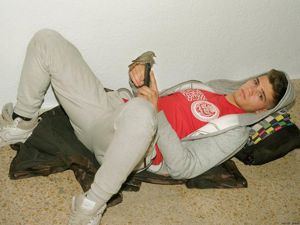 Iberian Black Redstart (Phoenicurus ochruros aterrimus)