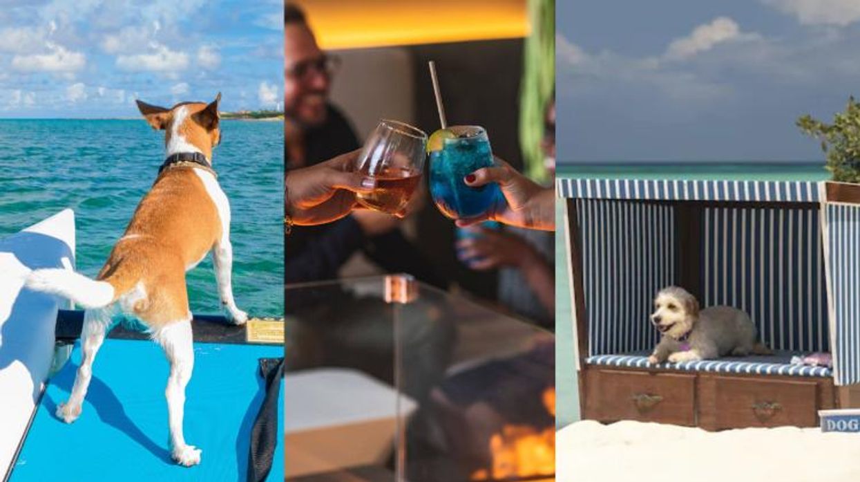 Bring Your Best Friend to Aruba At These Six Dog-Friendly Hotels