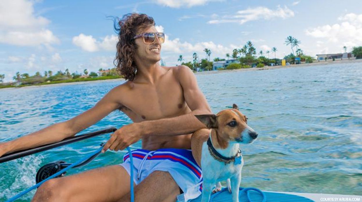 Traveling to Aruba? Bring Along Fido