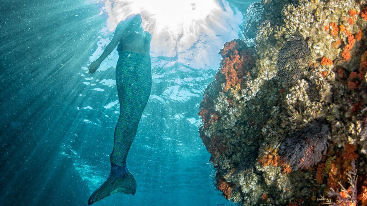 <p>White People Don't Own Mermaids</p>