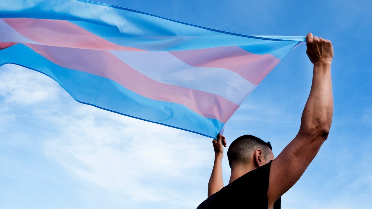 Celebrating trans resilience on TDOV—and beyond
