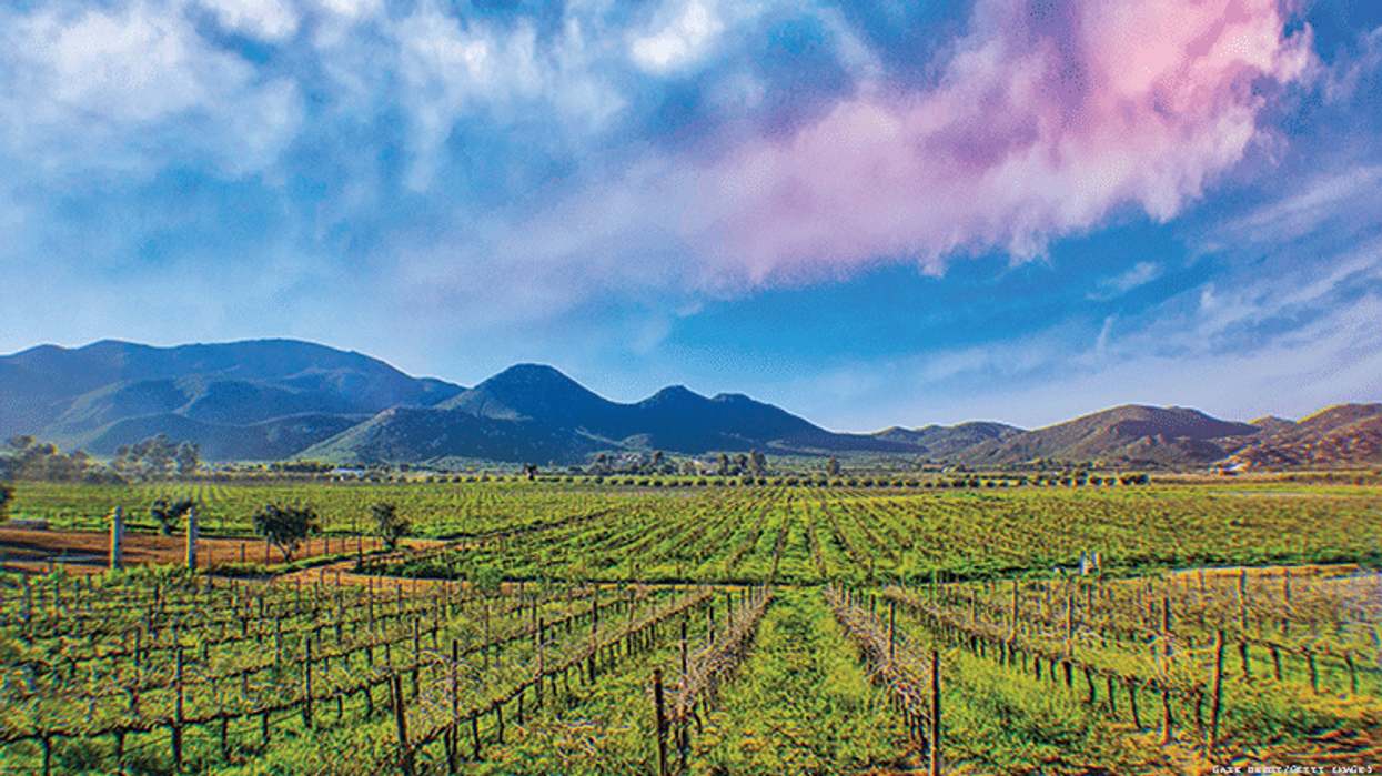 The Mexican Wine Country Just South of San Diego