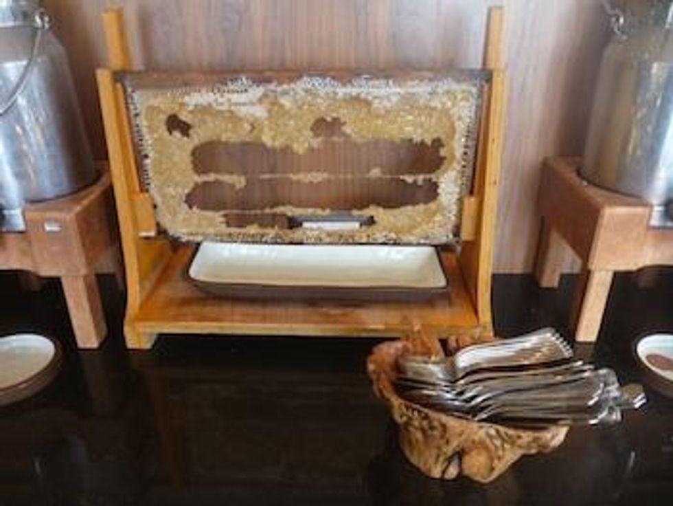 Israel-breakfast-fresh-honeycomb