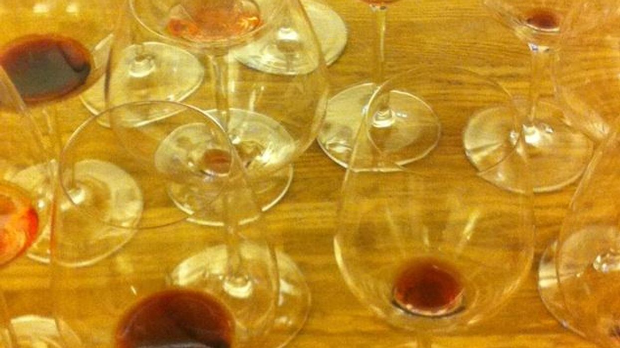 Israel-wine-tour-pavo_0