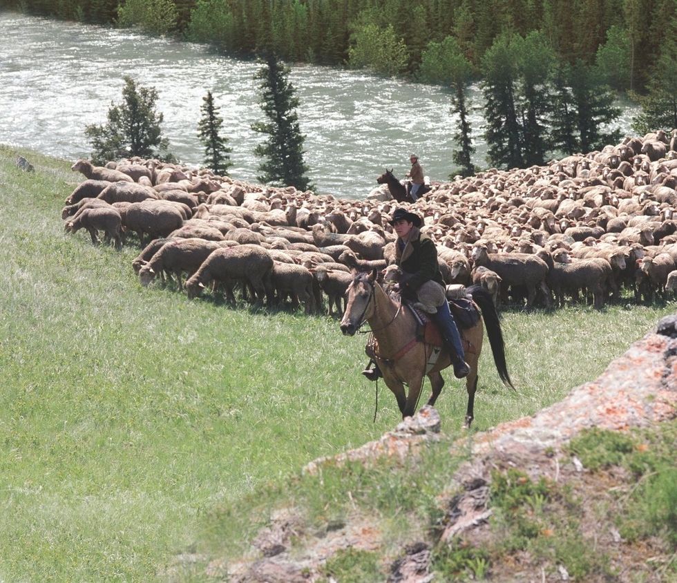 Jake Gyllenhaal and Heath Ledger in Brokeback Mountain