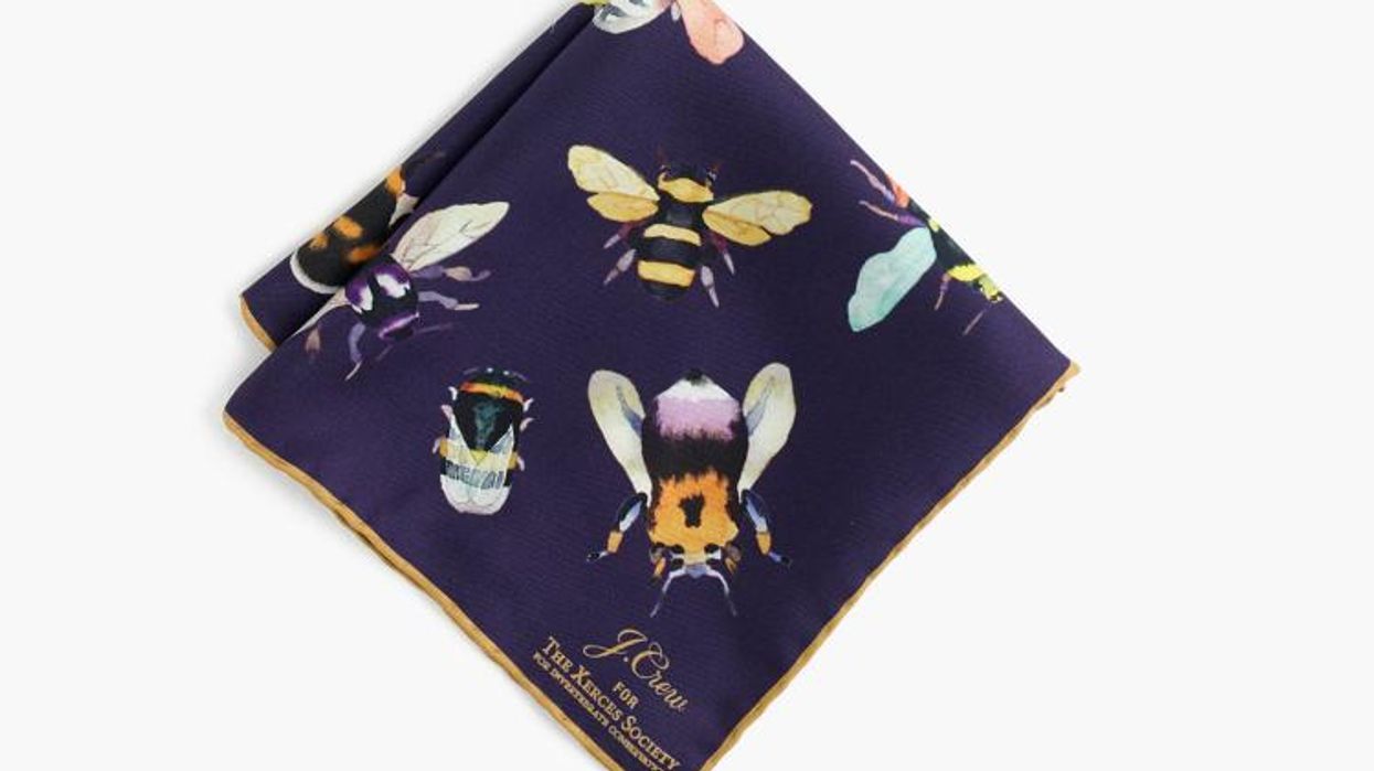 Jcrew bee pocket square