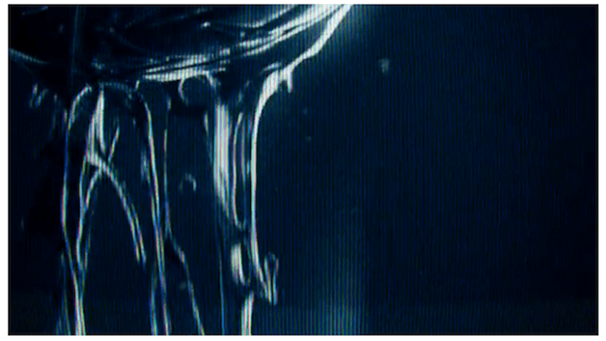 Karendragonleadrotate_0