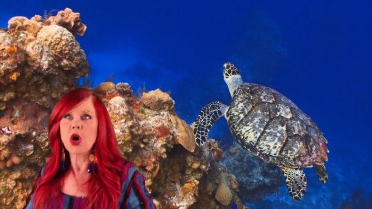 Kate_pierson_633x375_0