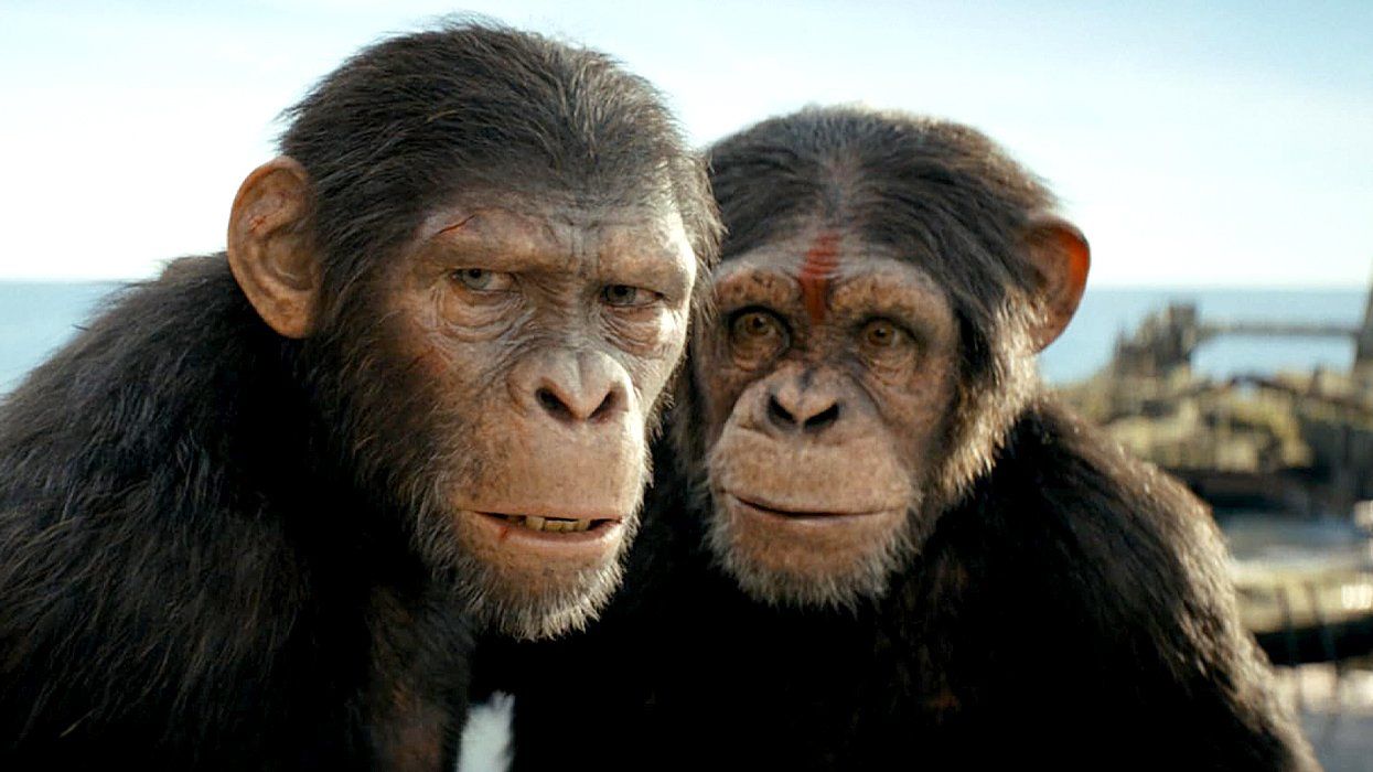 Kingdom of the Planet of the Apes