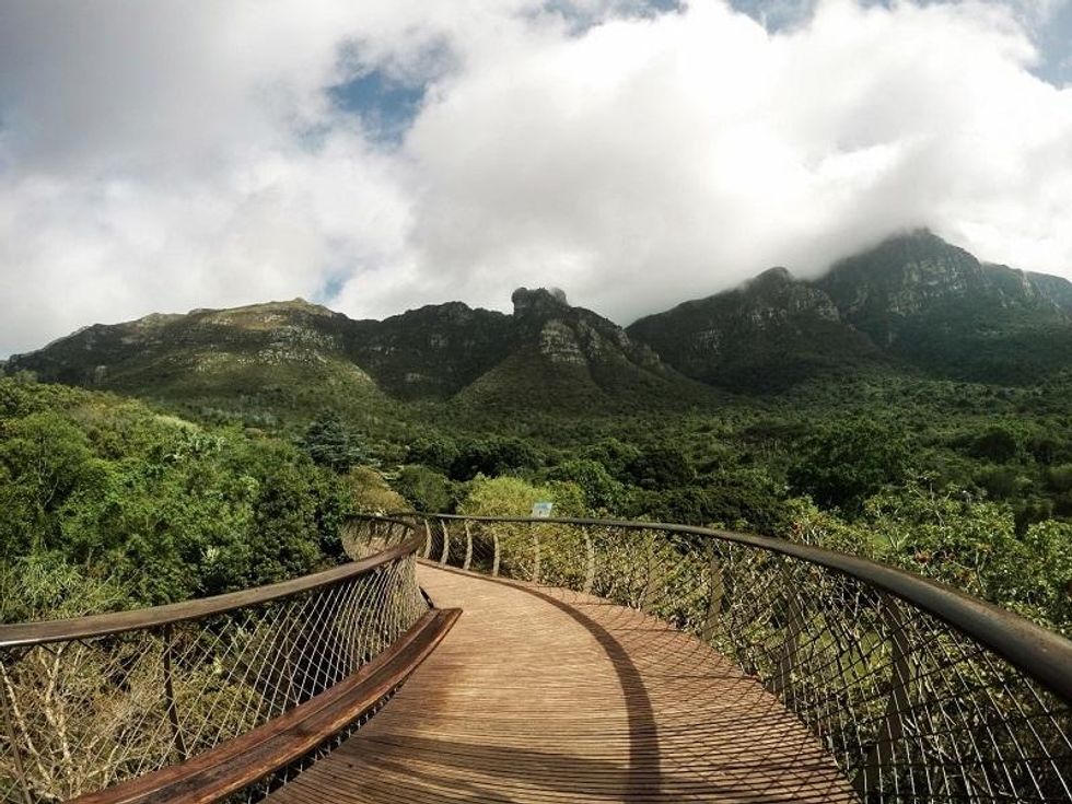 Kirstenbosch National Botanical Garden