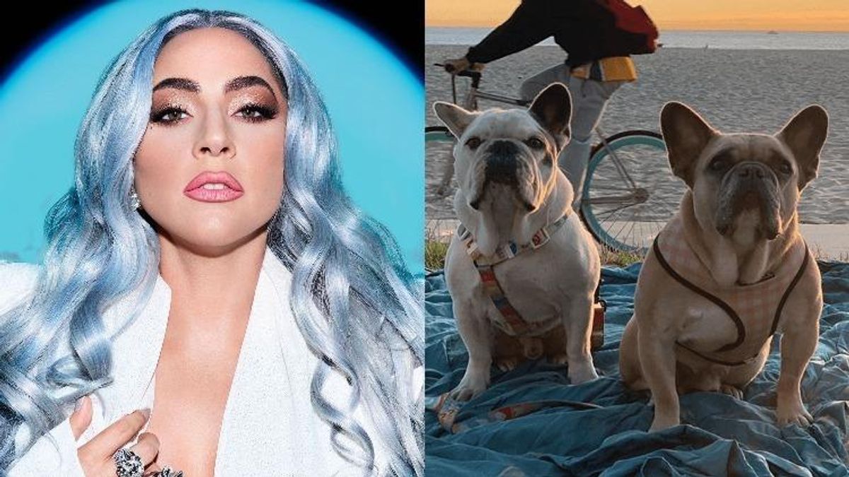 Lady Gaga and dogs