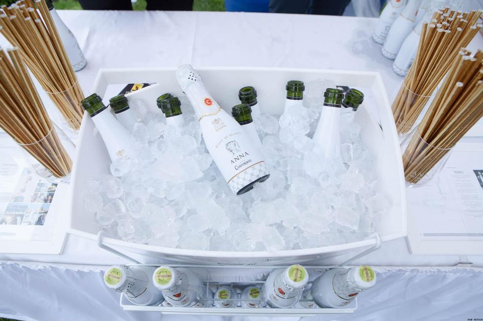 Lands_end_garden_party_06-17-2017