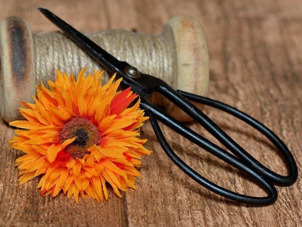 Lesbians just scissor.