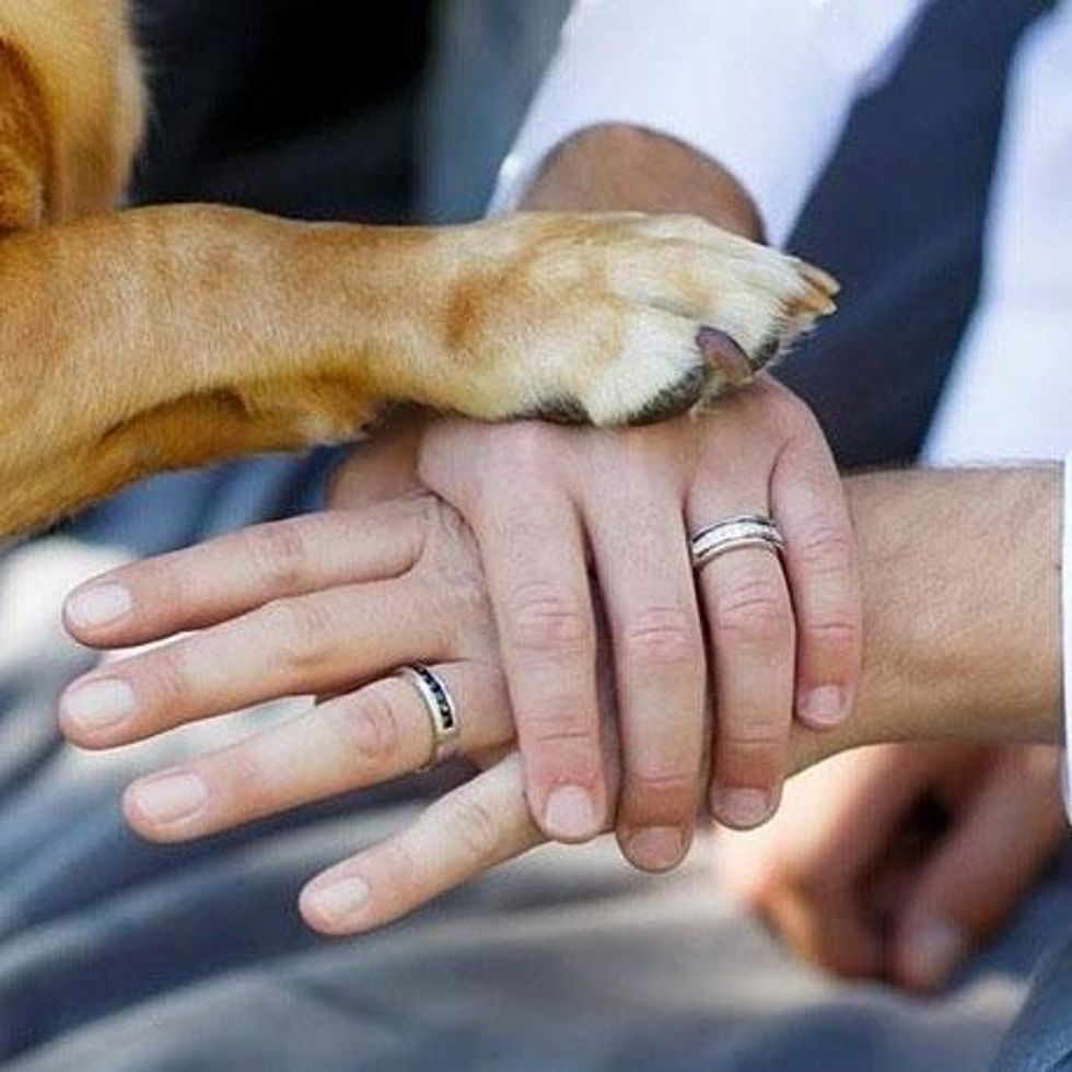 Let's Make it Official