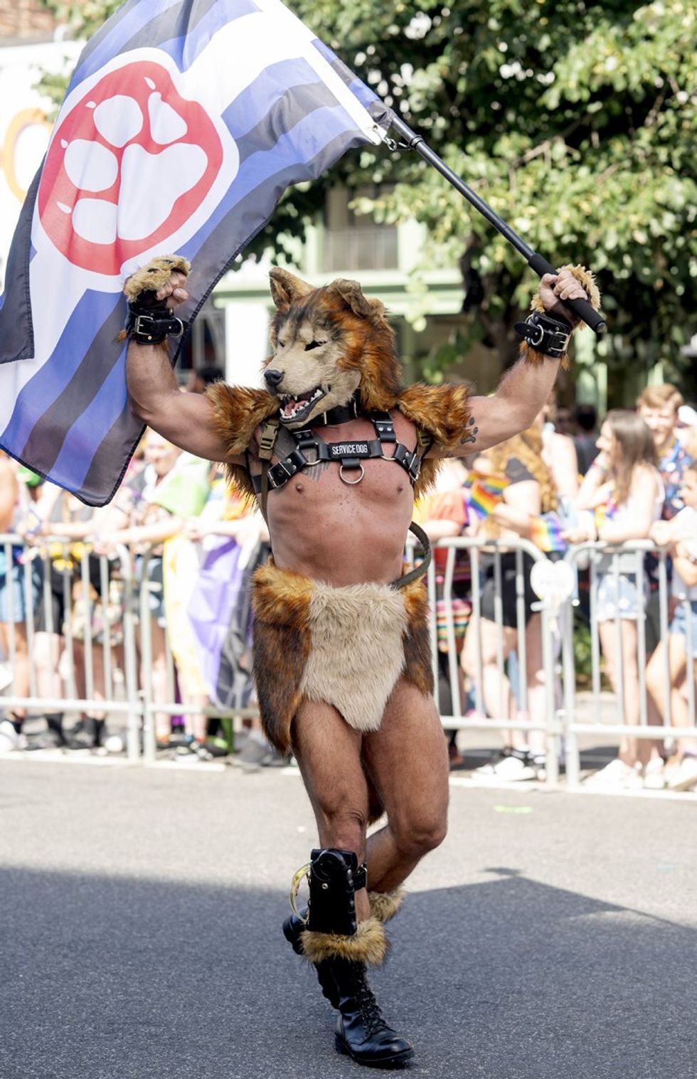LGBTQ+ Pride Parade Celebration Festival Washington DC Capital