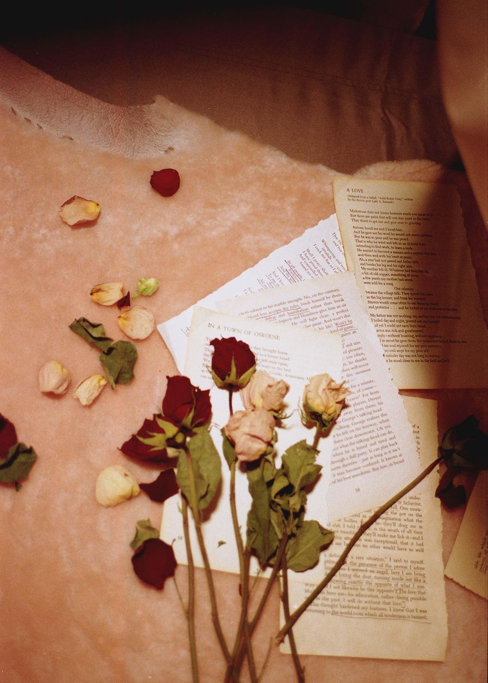 Linder's Sensitive, Sensual Ode to Queer Literature