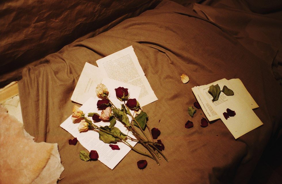 Linder's Sensitive, Sensual Ode to Queer Literature