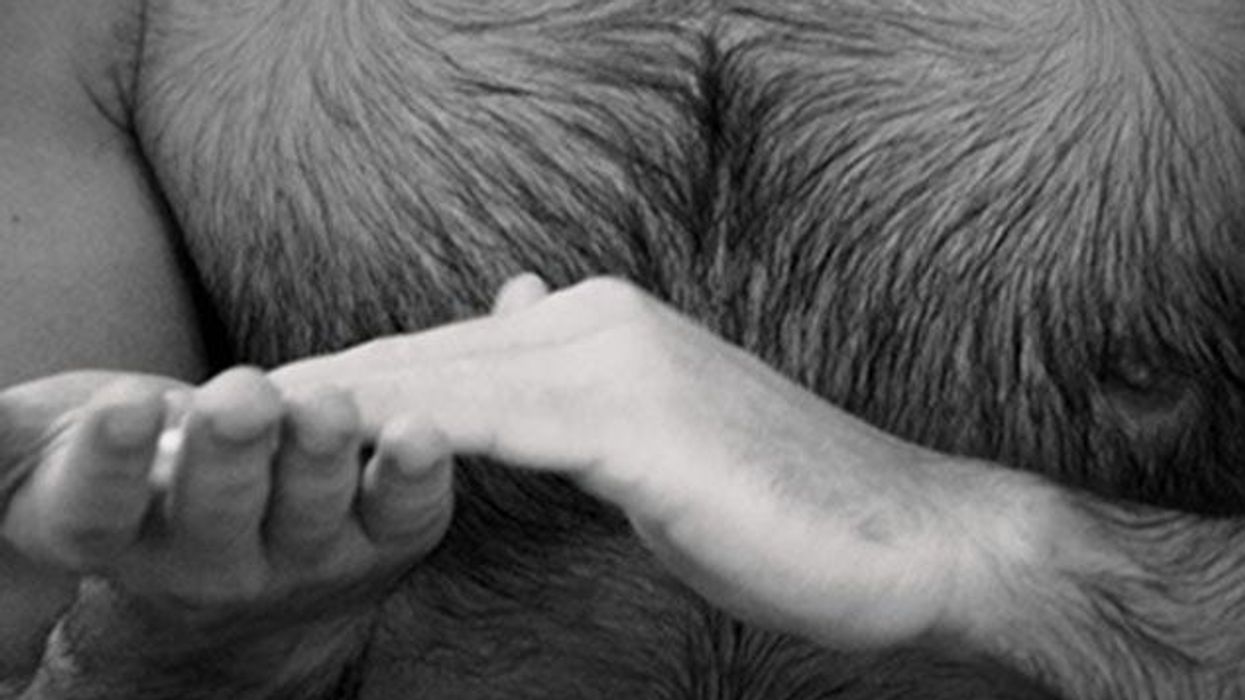 Madison_swirls_633_375