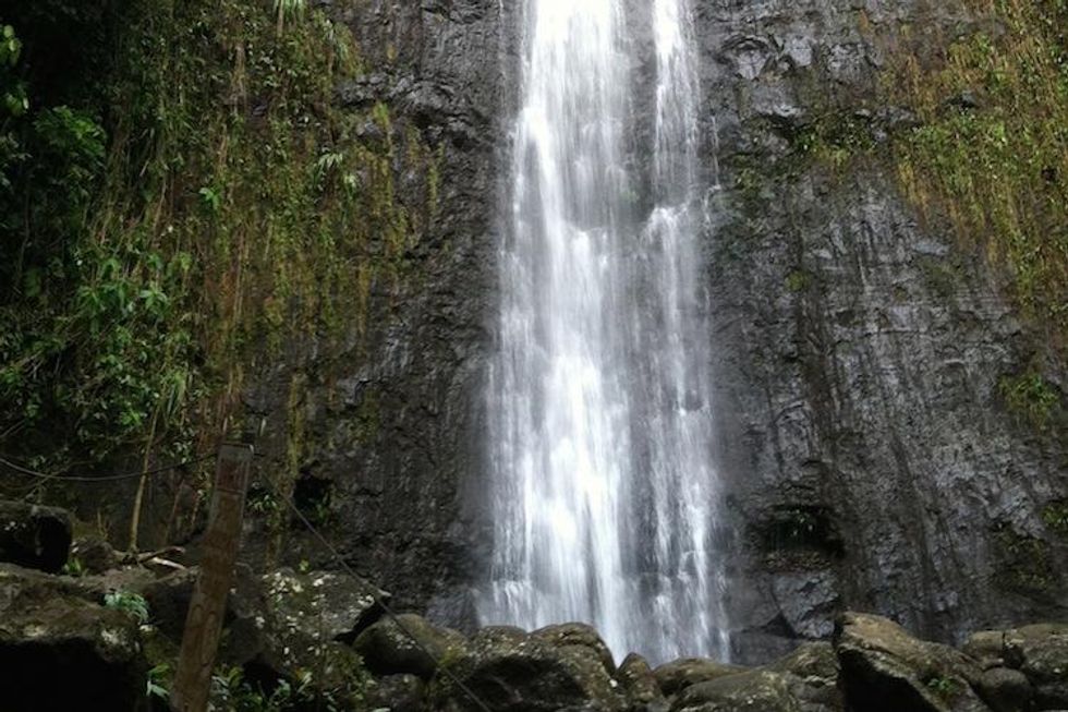manoa_falls_hawaii_march_2012.jpg
