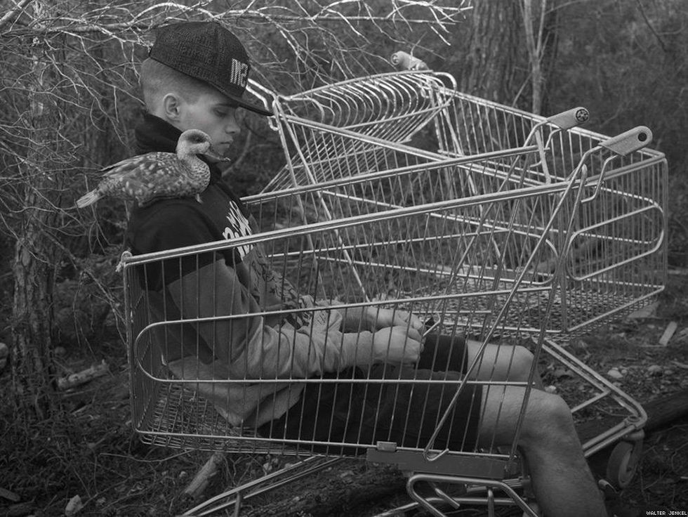 Marbled teal (Marmaronetta angustirostris)