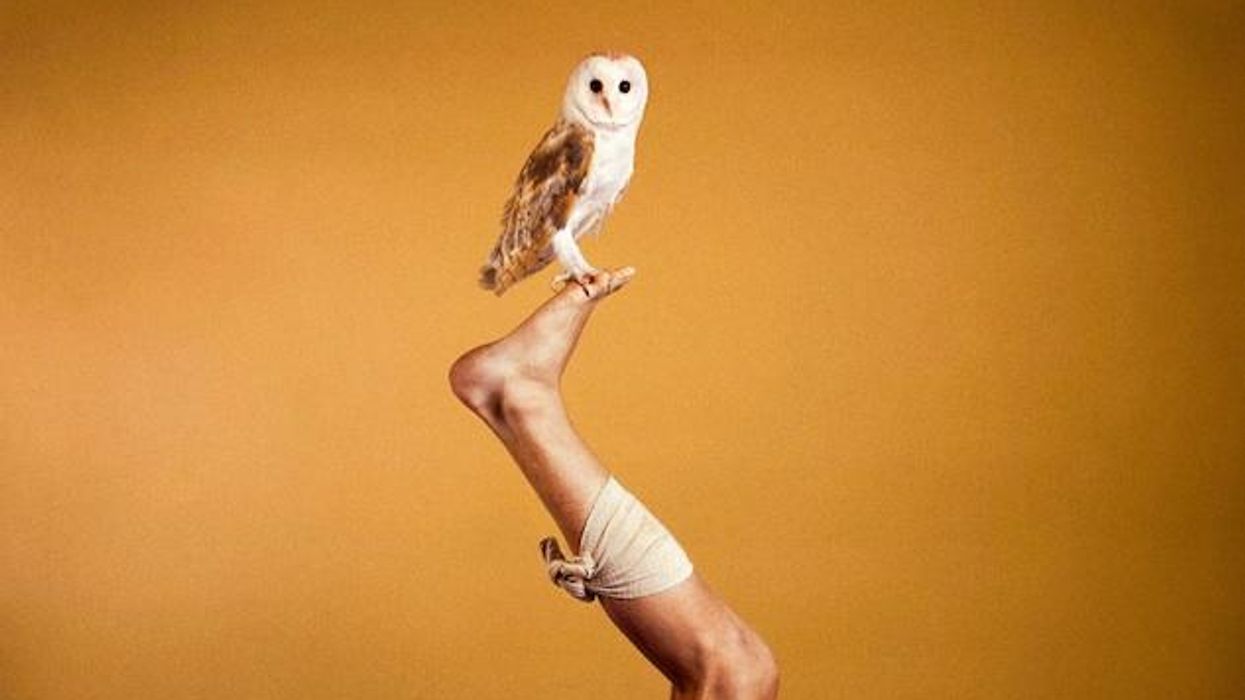 Mcginley-owl-rotator