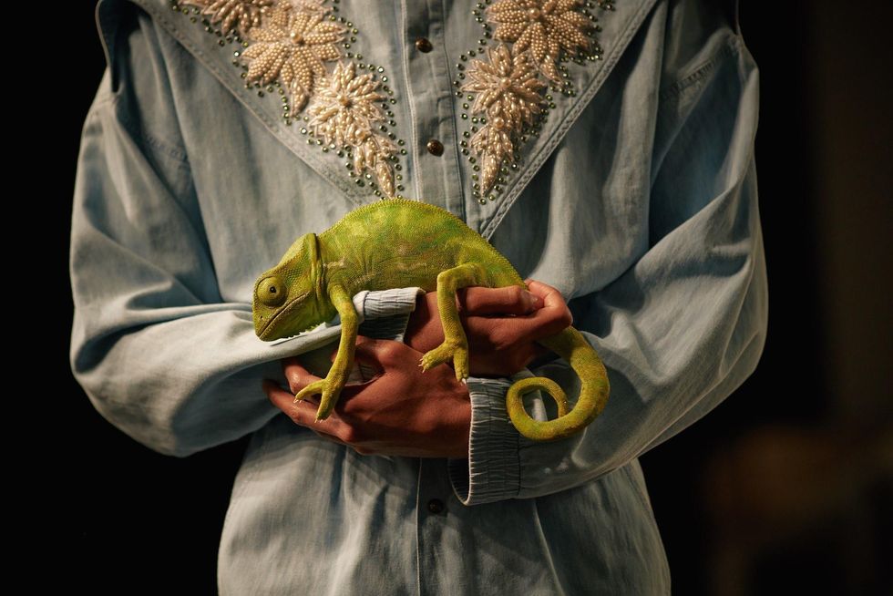 MFW: Gucci Dazzles Us Once Again With Feathers, Severed Heads, & Dragons