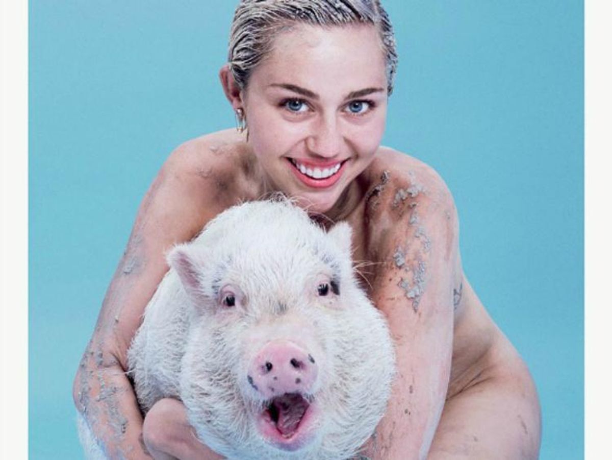 Miley Cyrus Pig