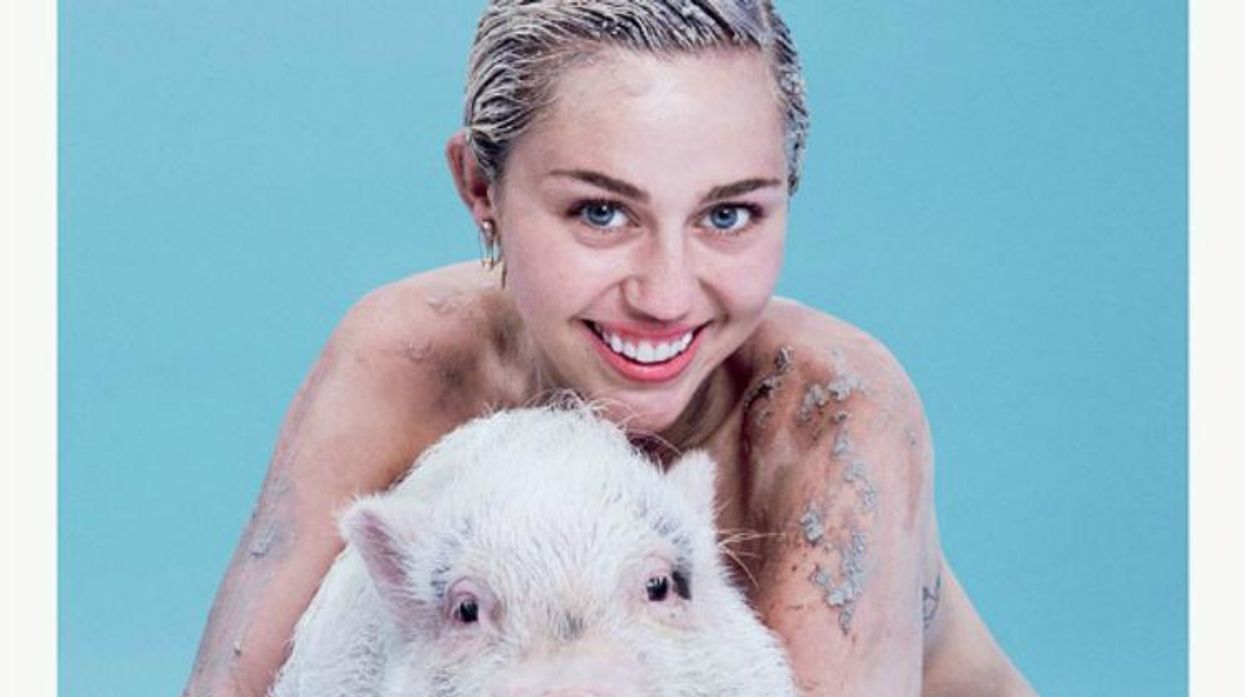 Miley Cyrus Pig