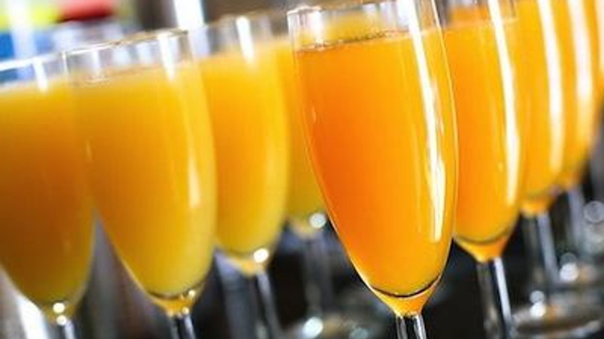 Mimosas_wide