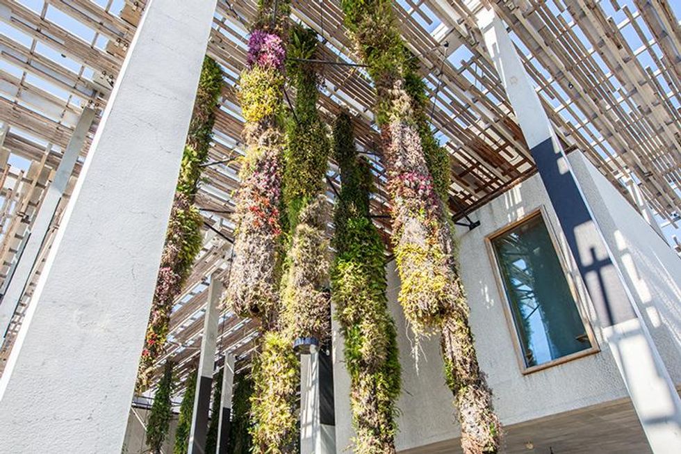 Mindbodysol4_forupload