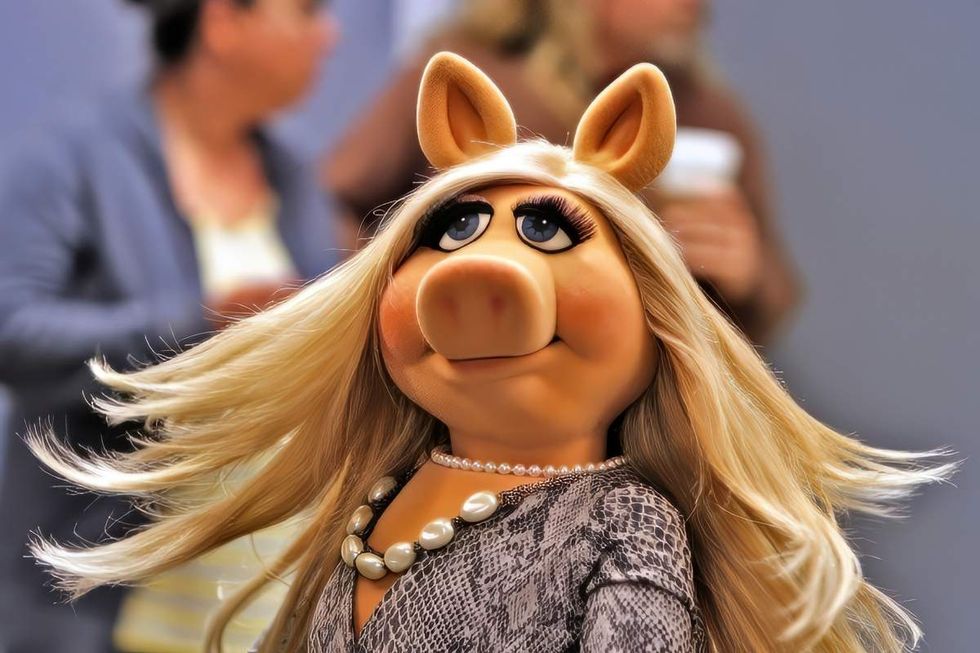 Miss Piggy on the 2015 television series The Muppets on ABC