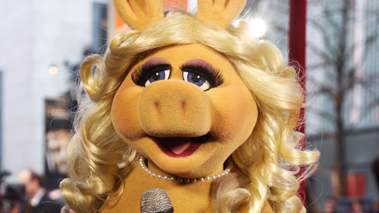 Misspiggy-louisvuitton-rotator