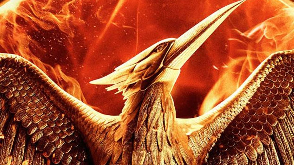 Mockingjaybackground