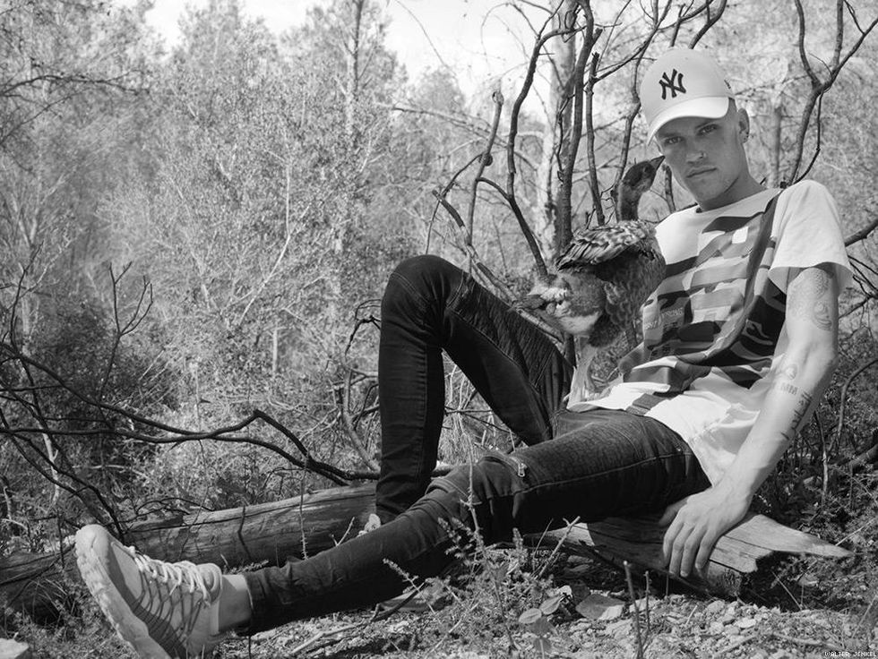 Nene (Branta sandvicensis)