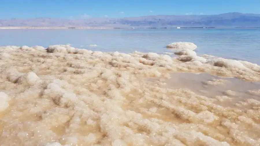 Neve Midbar, North Dead Sea, Israel